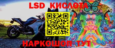 соль ск Владивосток