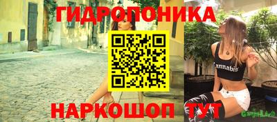 соль ск Владивосток