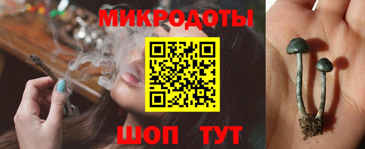 Псилоцибиновые грибы Psilocybine cubensis  сколько стоит  Бахчисарай  Вход с VPN 
